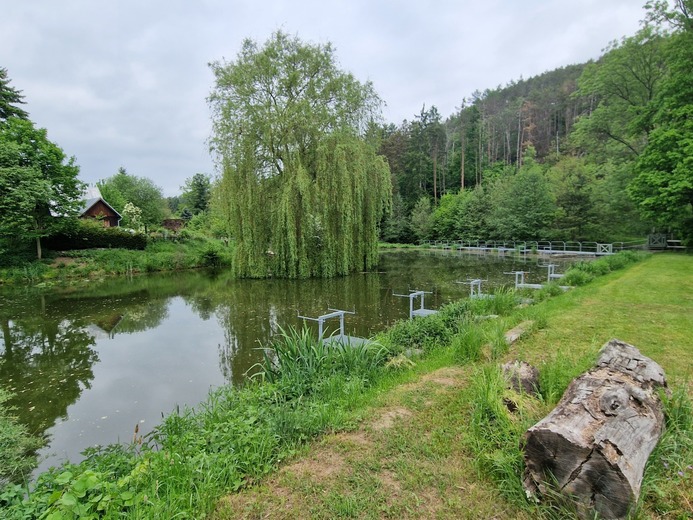 20230524_124856 - Pod Ostrým vrchem