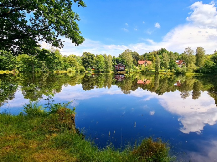 20200626_111928 - U singltreku