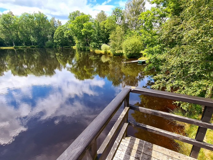 20200626_122633 - U singltreku