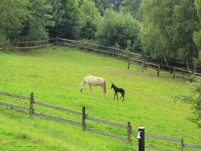 IMG_4624 - Benešov u Semil