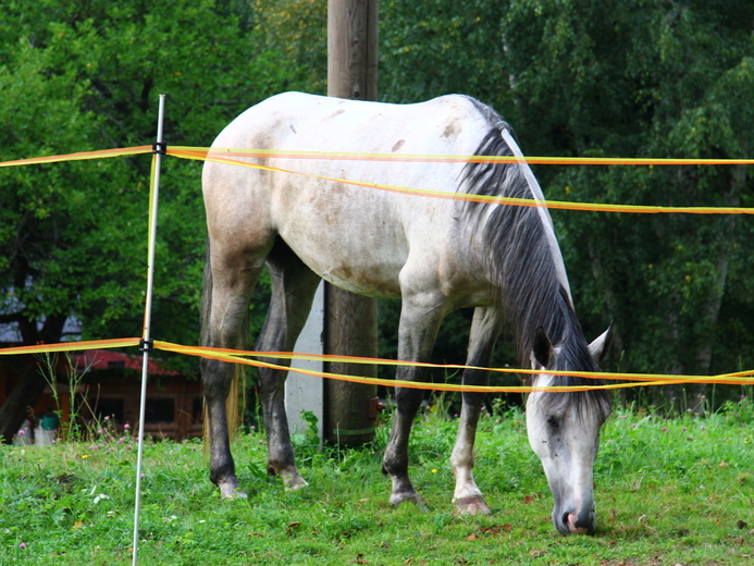 IMG_4613 - Benešov u Semil